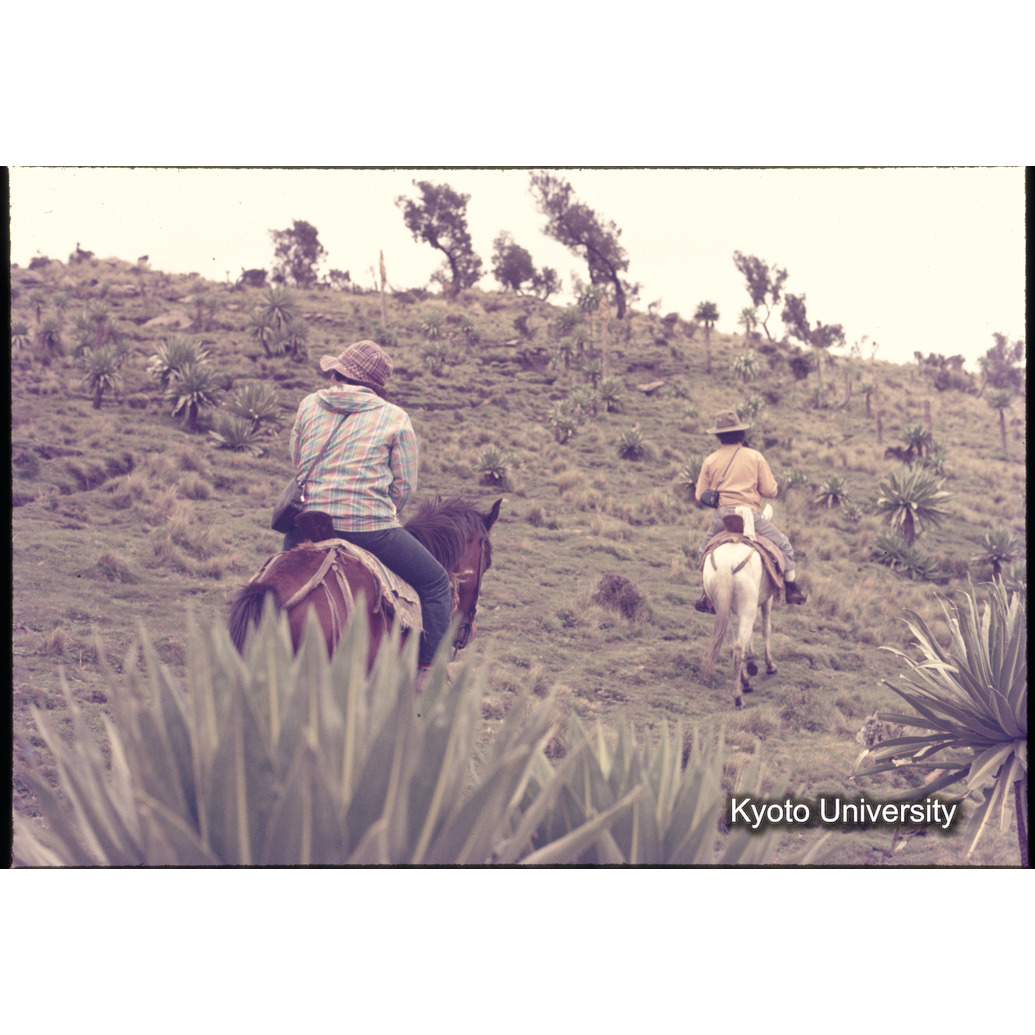 Sm　1973　1462 (1)