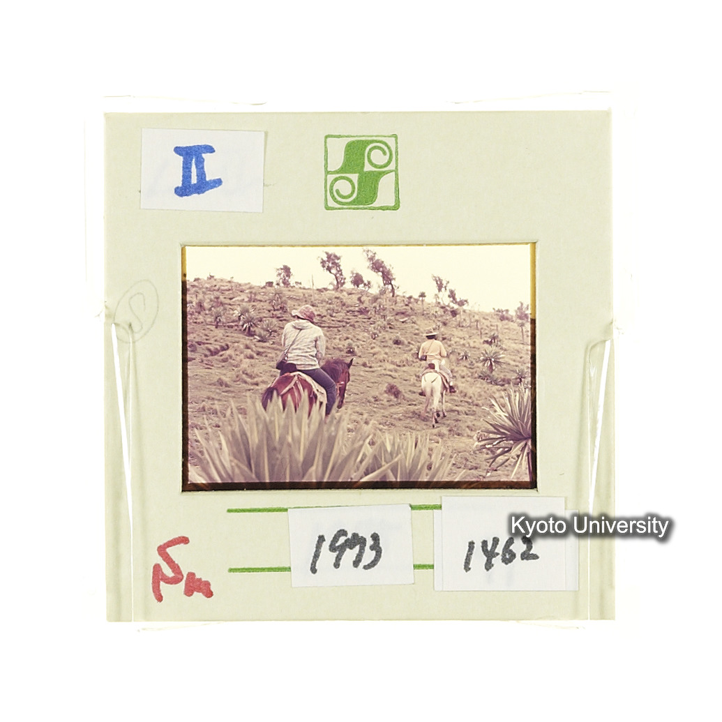 Sm　1973　1462 (2)