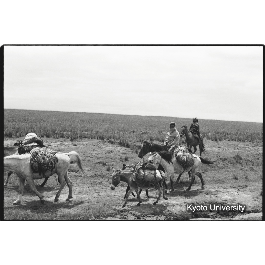 [２６コマ目]「シダモ族の乗馬姿」 (1)