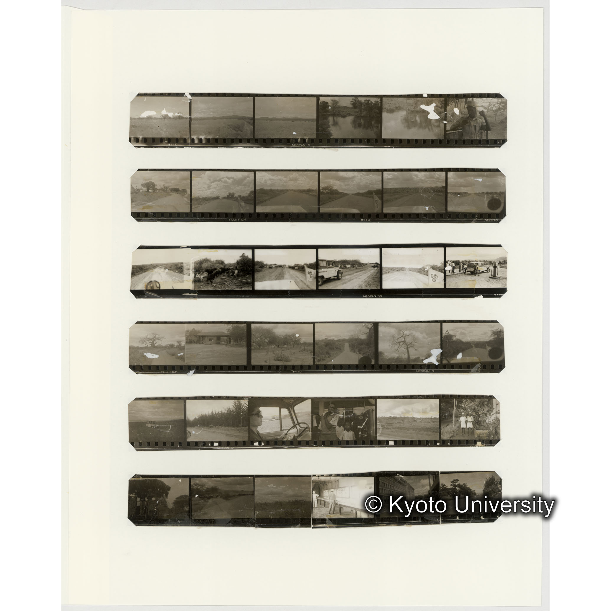 [ネガフィルムスリーブ32]「６５２」 (2)