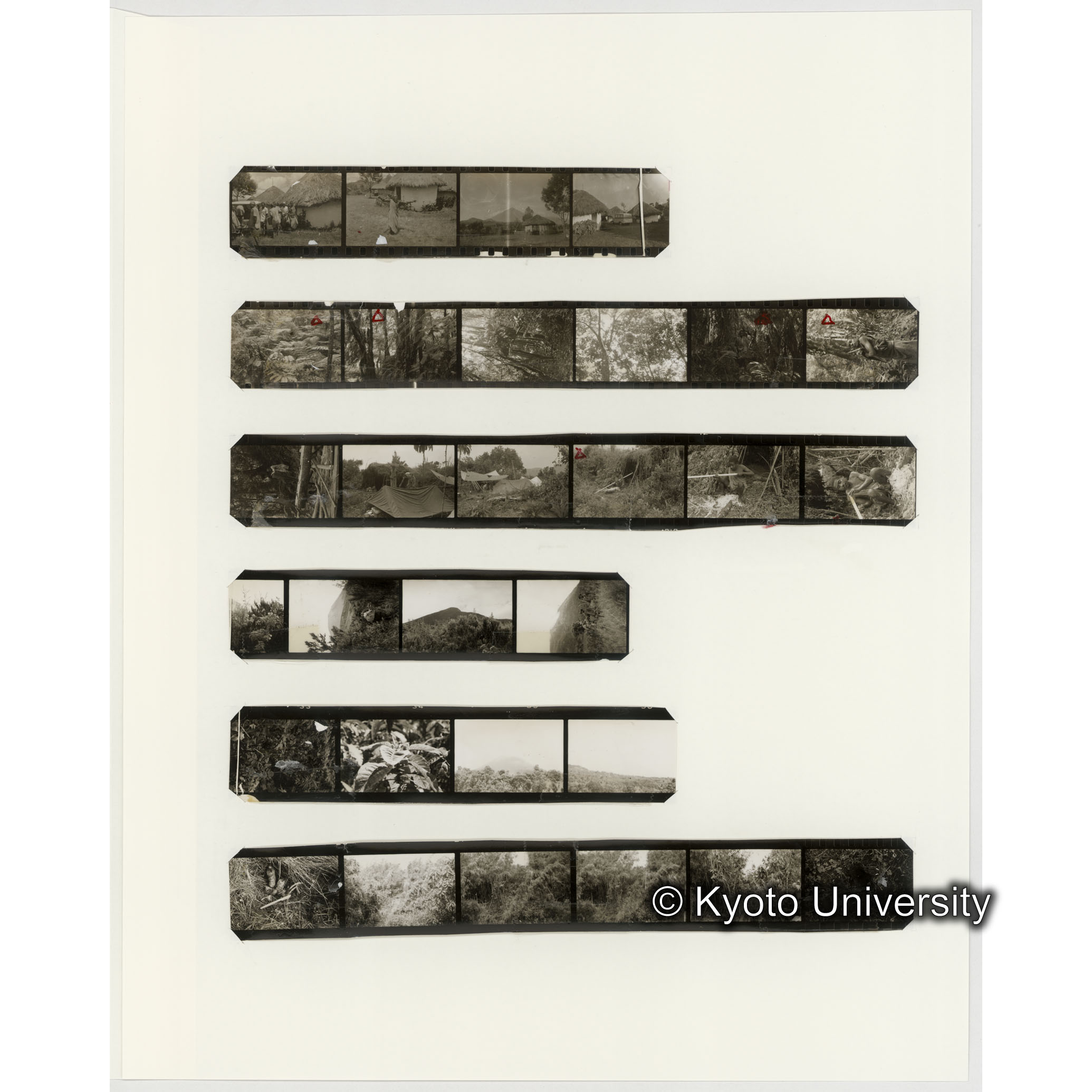 [ネガフィルムスリーブ35]「６５５」 (2)