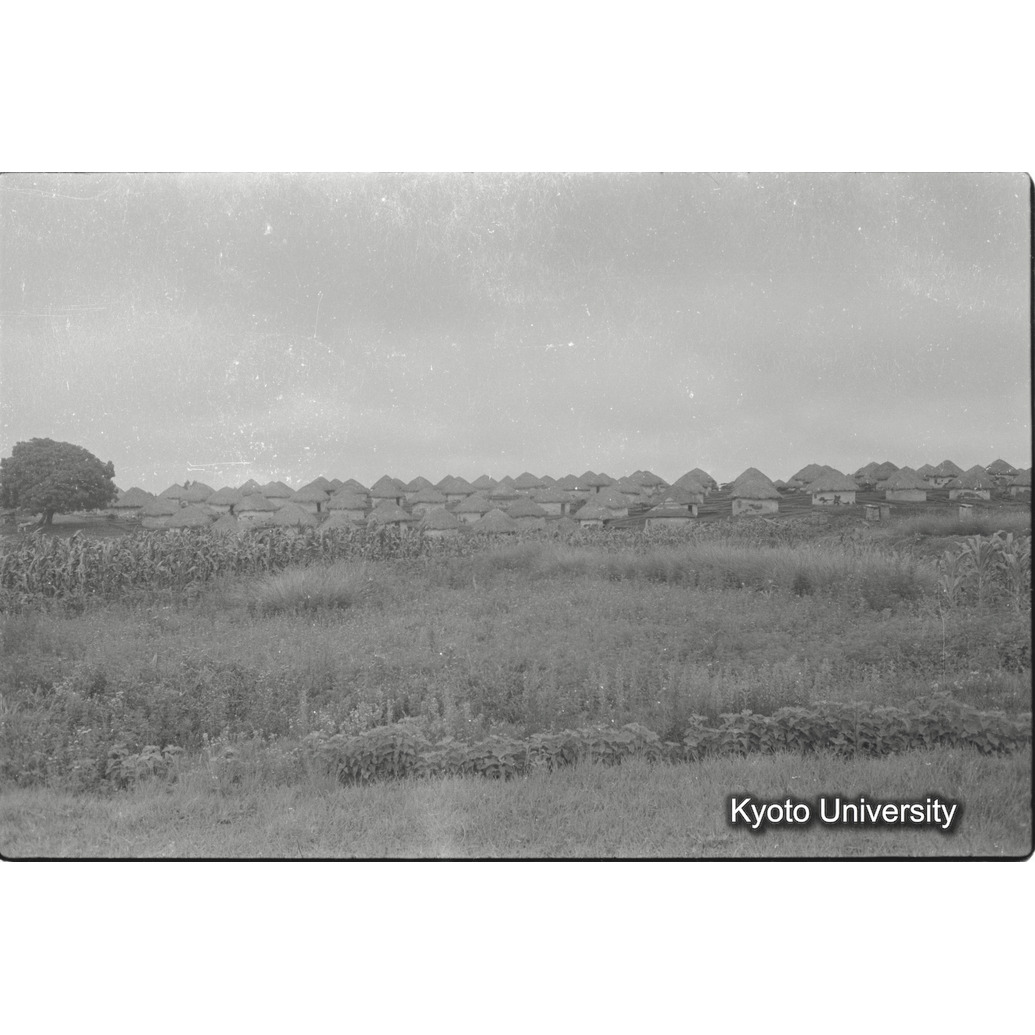 [26コマ目]「キクユ族の家」 (1)