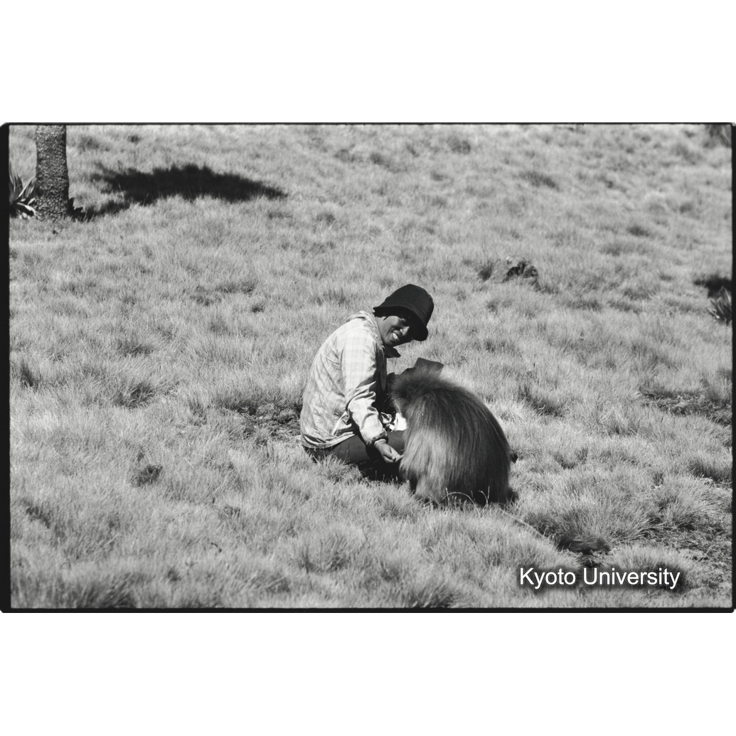 [２７コマ目]「森梅代隊員とアディス（２）」 (1)