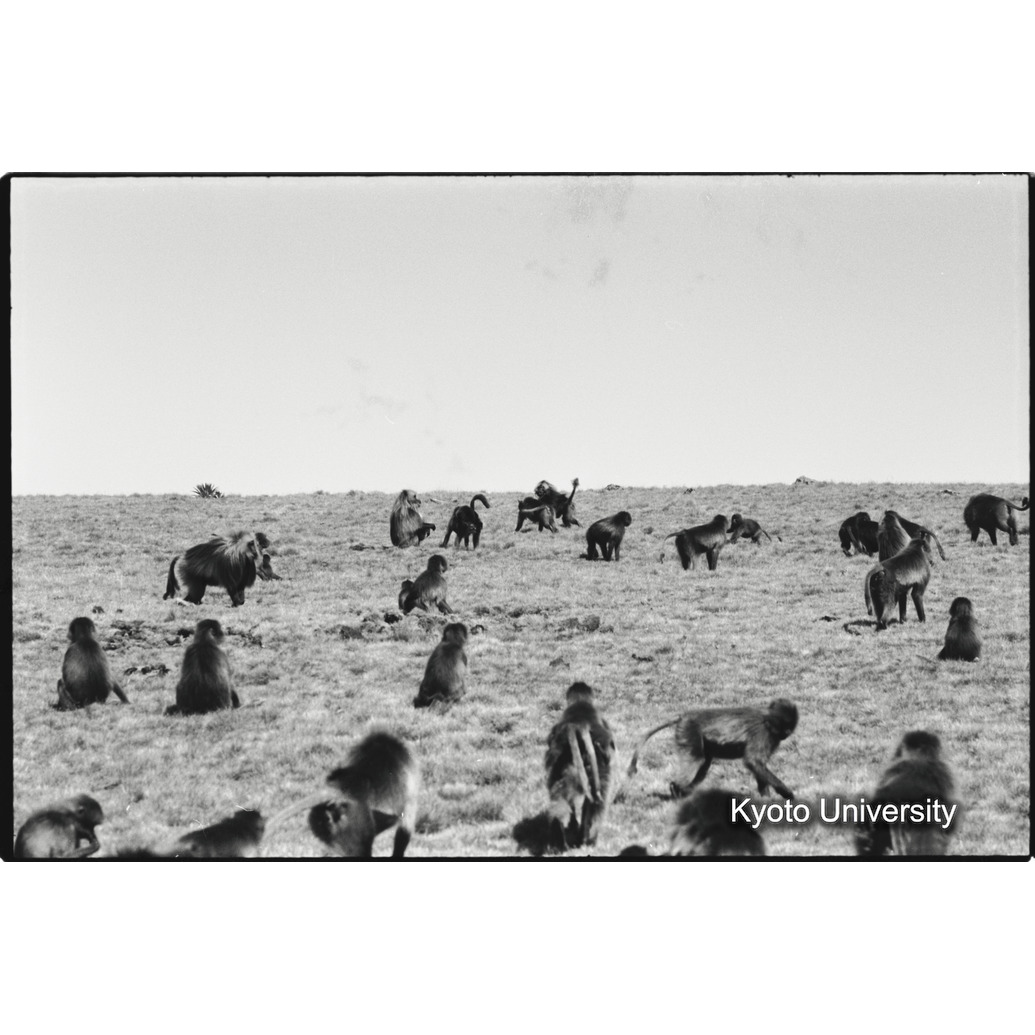 [２１コマ目]「雄グループとユニットリーダー雄（５）」 (1)