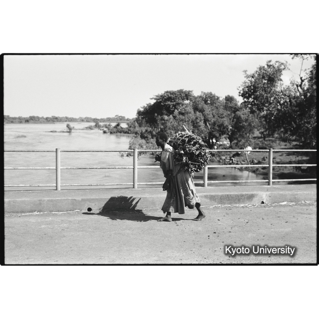 [１０コマ目]「荷をかつぐ」 (1)