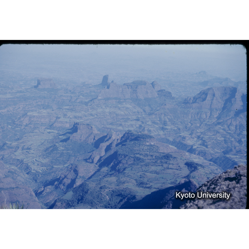 Sm　1973　1446 (1)