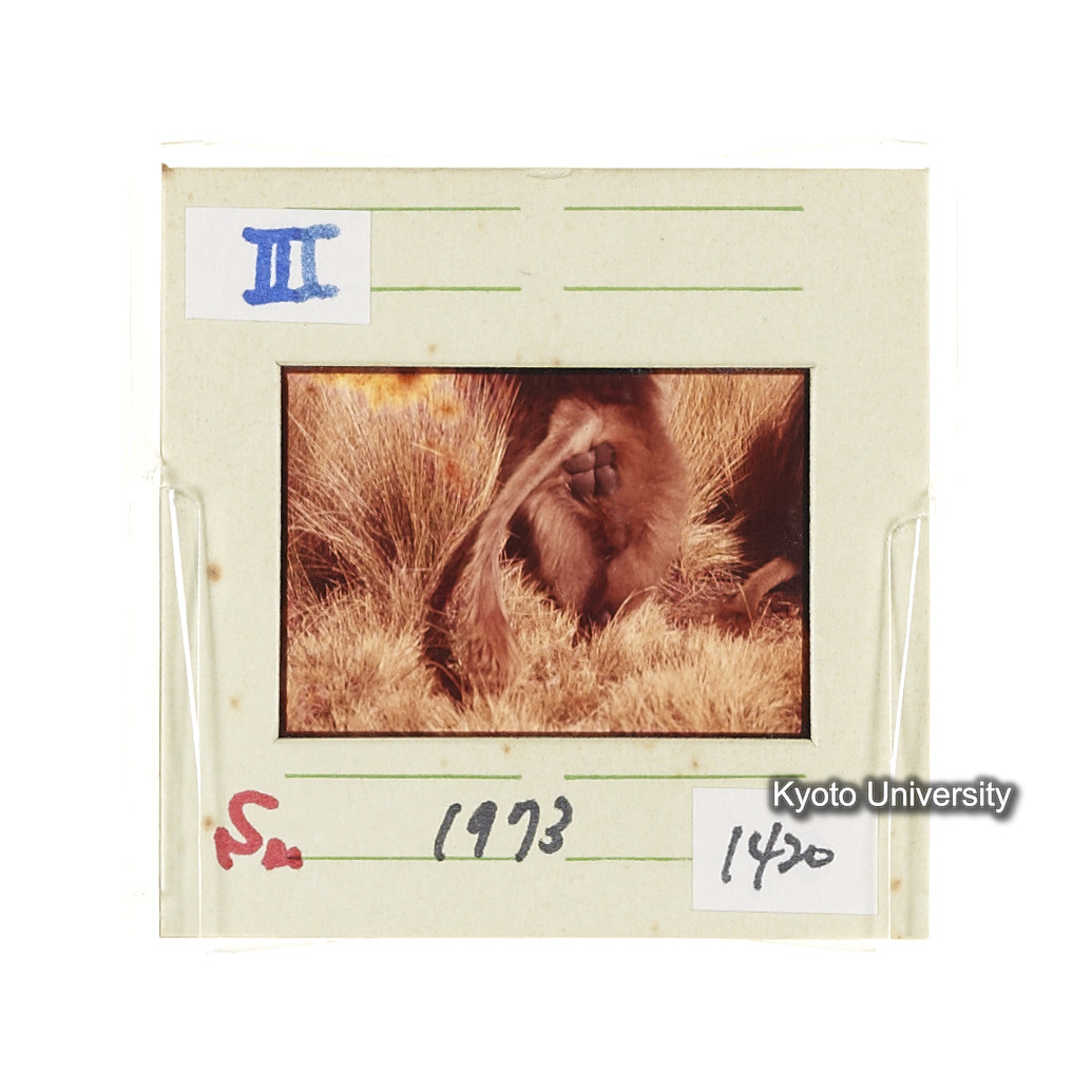 Sm　1973　1420 (2)