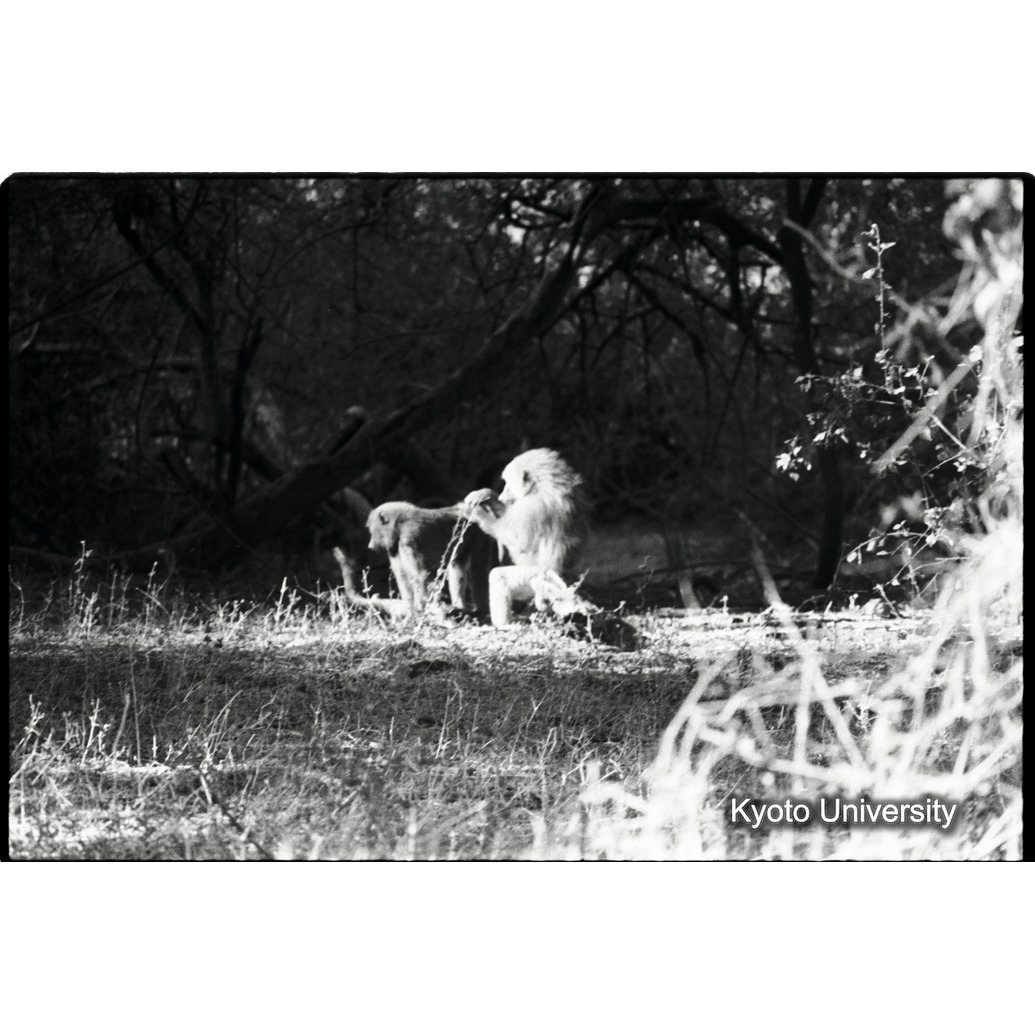 [２８コマ目]「×」 (1)