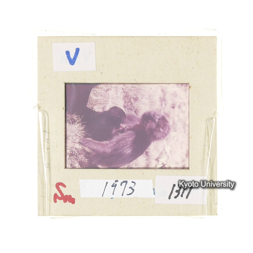 Sm　1973　1311 (2)