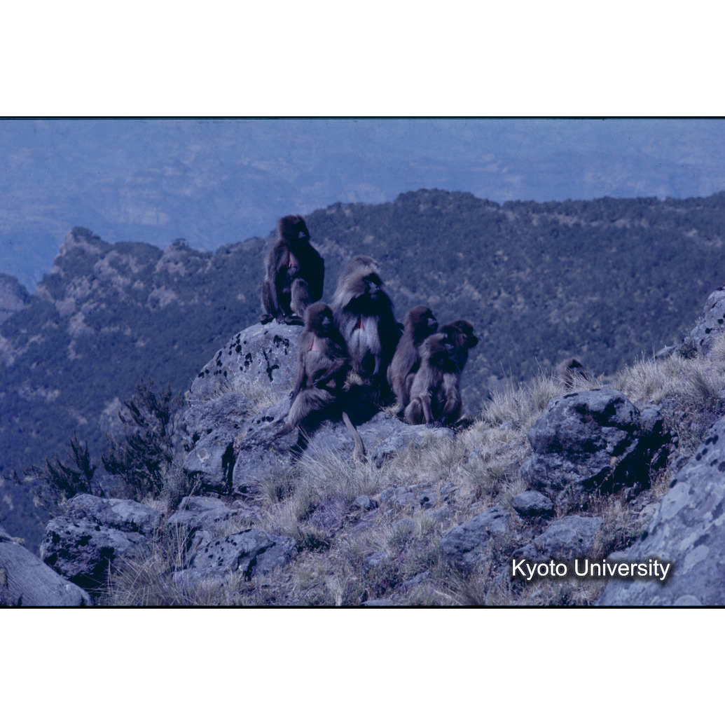 Sm　1973　1414 (1)