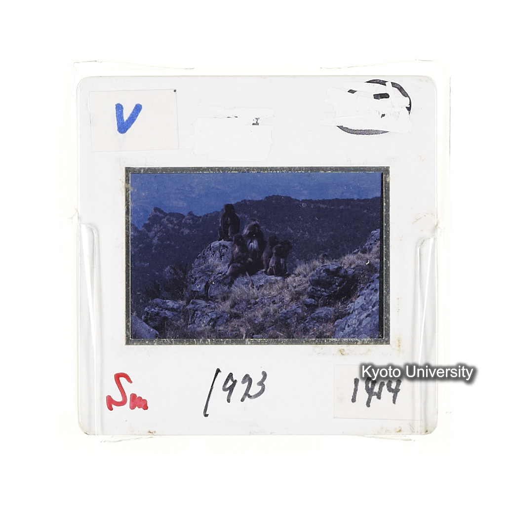 Sm　1973　1414 (2)