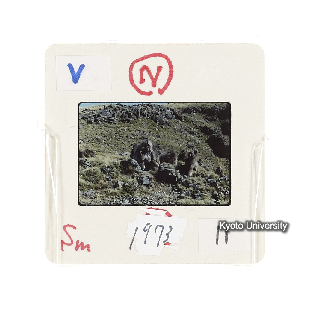 Sm　1973　11　（N）[赤色, 丸囲み] (2)