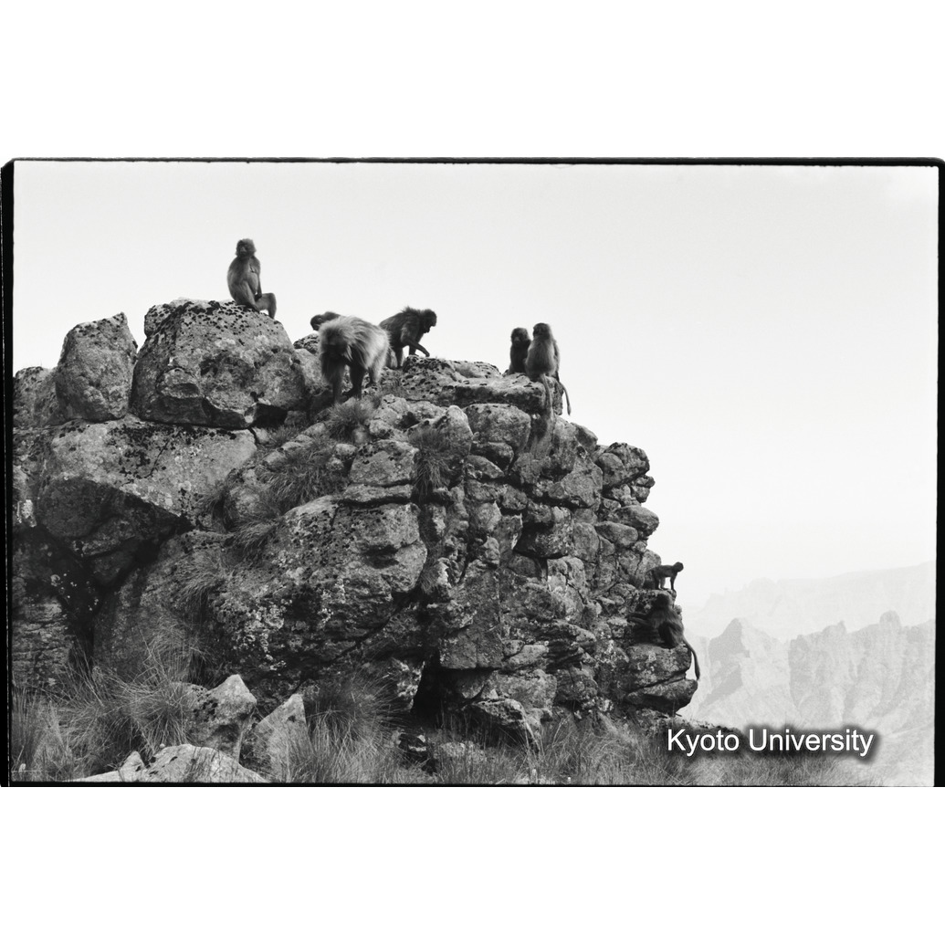 [２１コマ目]「コドモグループ（４）」 (1)