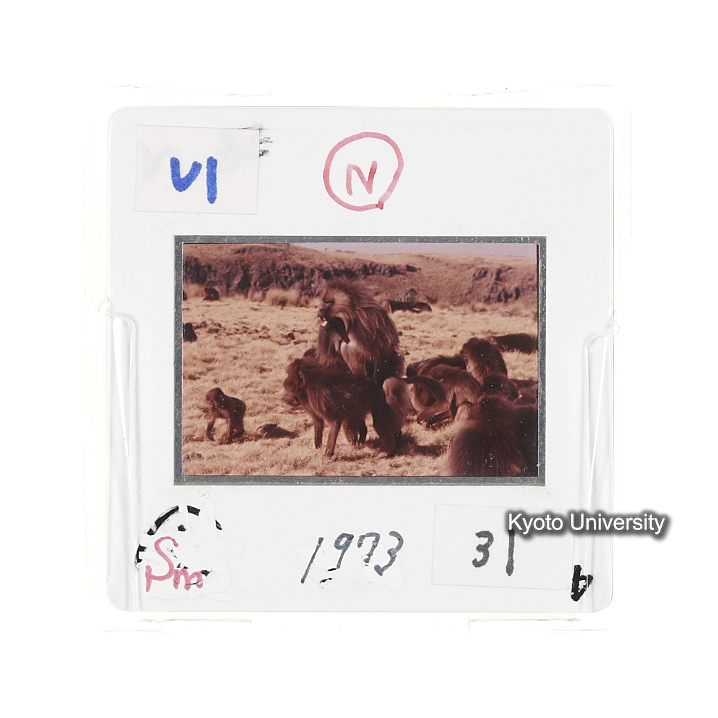 Sm　1973　31　（N）[赤色, 丸囲み] (2)