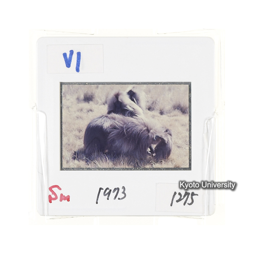 Sm　1973　1275 (2)