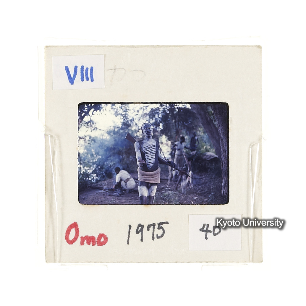 Omo　1975　40 (2)