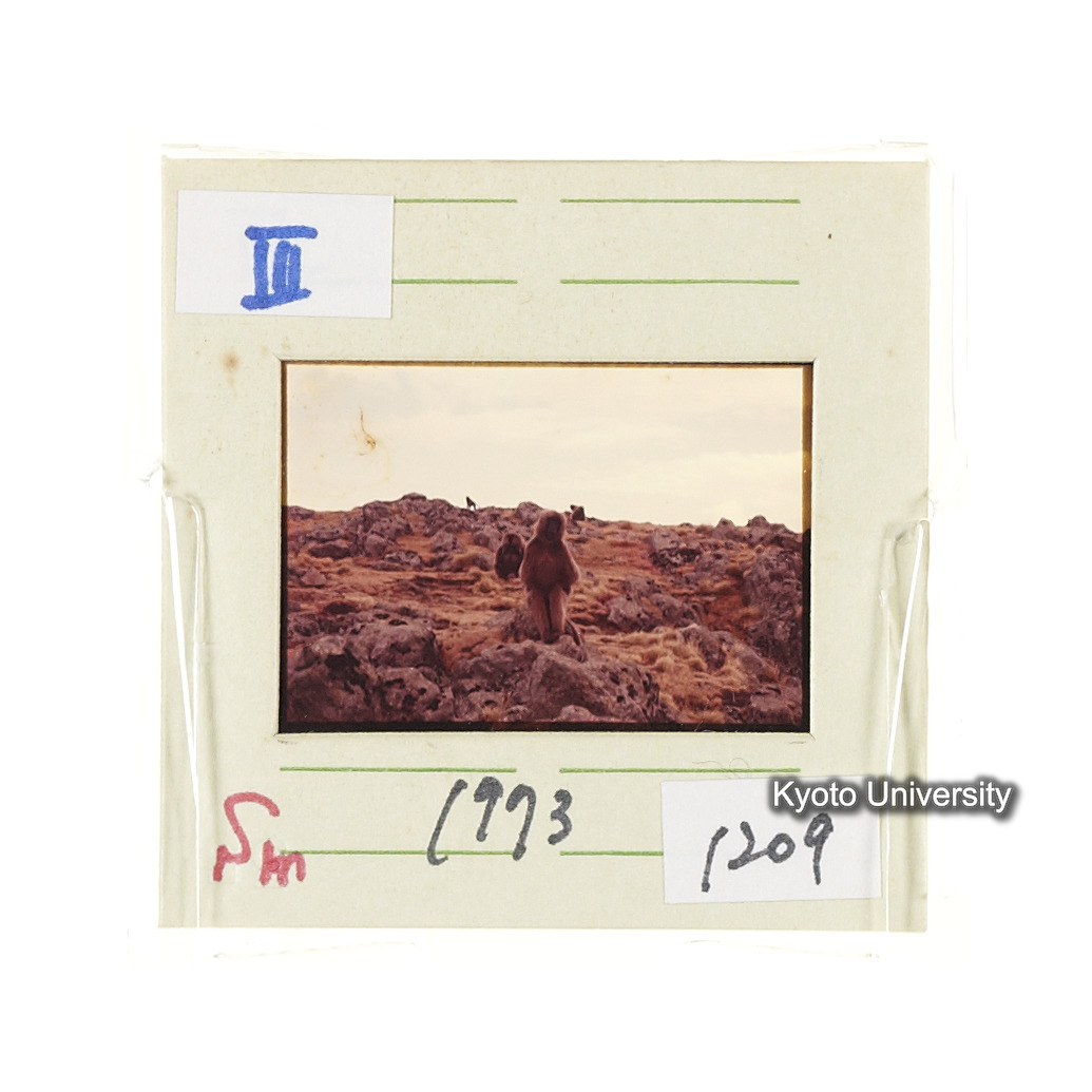 Sm　1973　1209 (2)