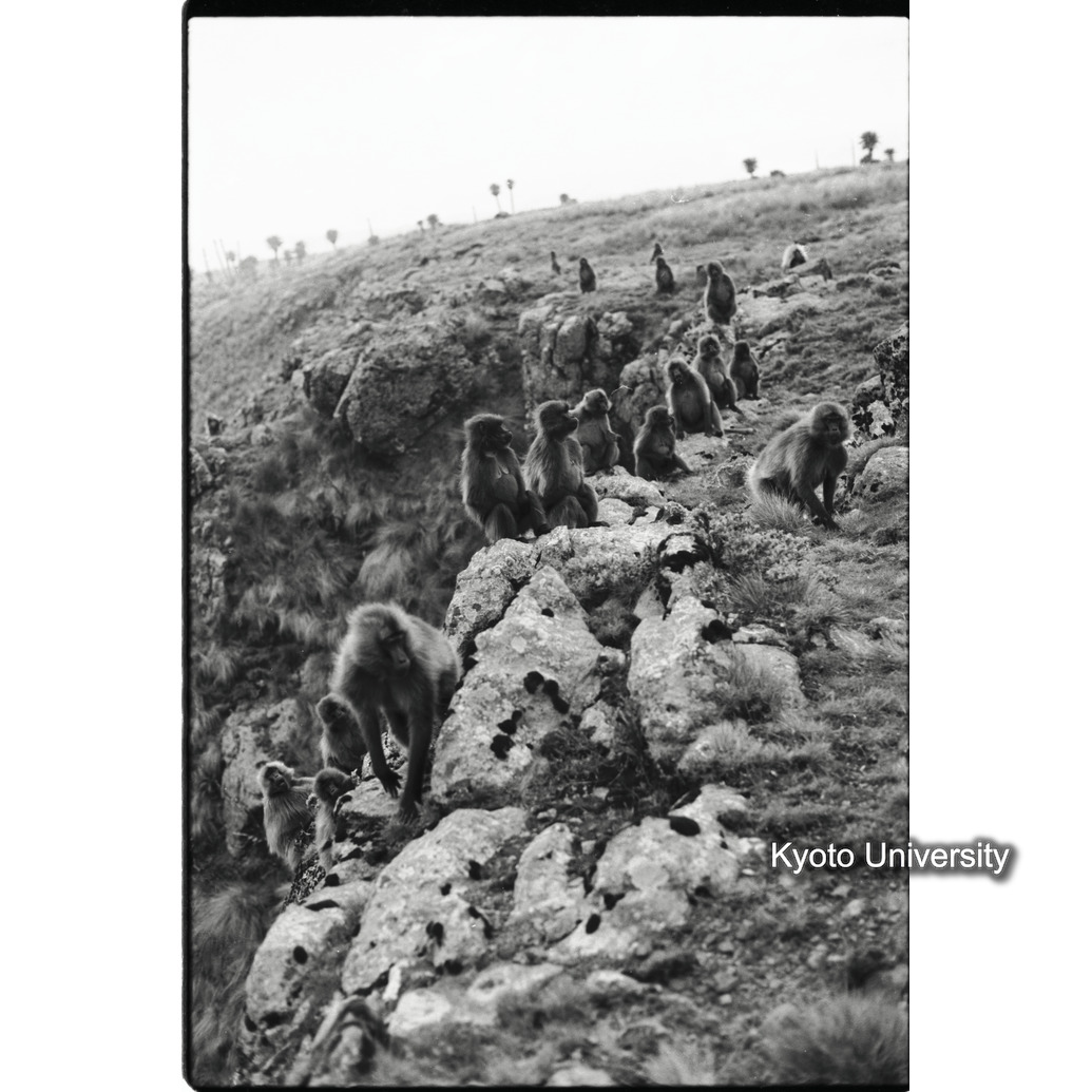 [１９コマ目]「コドモグループ（１０）」 (1)