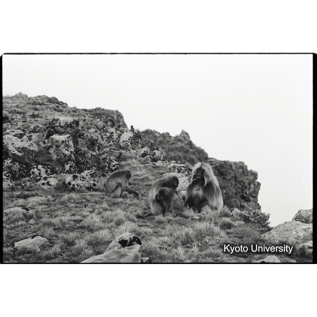 [３１コマ目]「アジスユニット（２）」 (1)