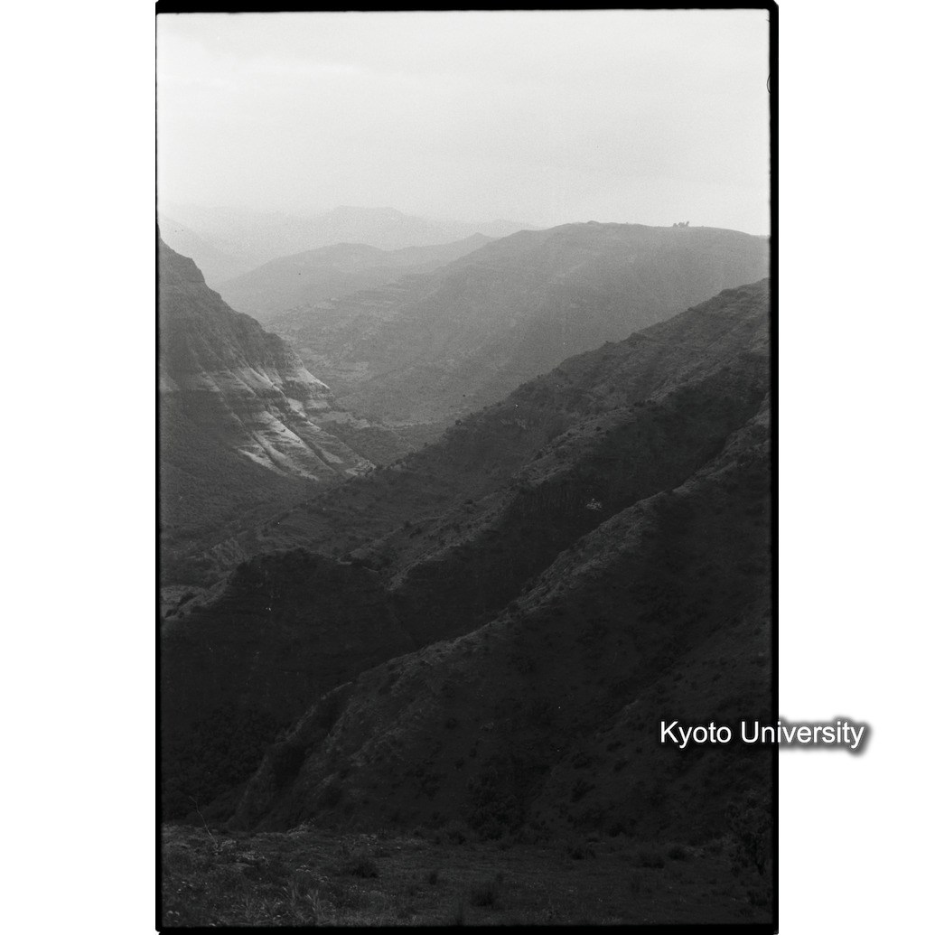 [１０コマ目]「×」 (1)