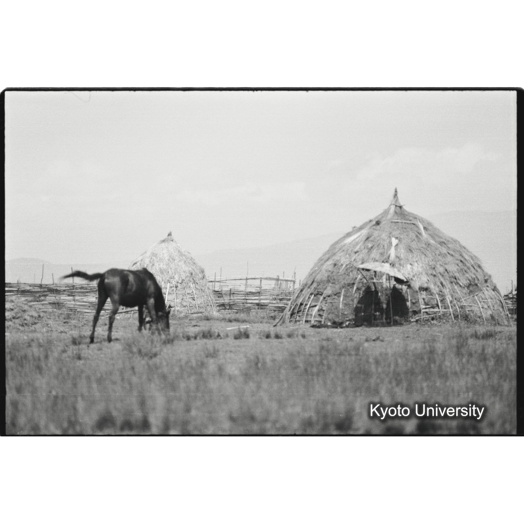 [１５コマ目]「シダモ族の家と馬」 (1)