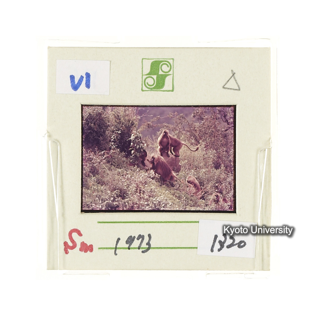 Sm　1973　1320 (2)