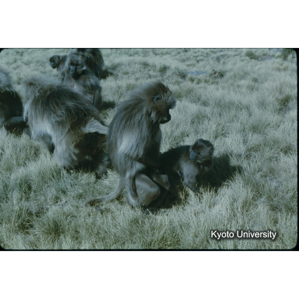 Sm　1973　9　（N）[赤色, 丸囲み] (1)