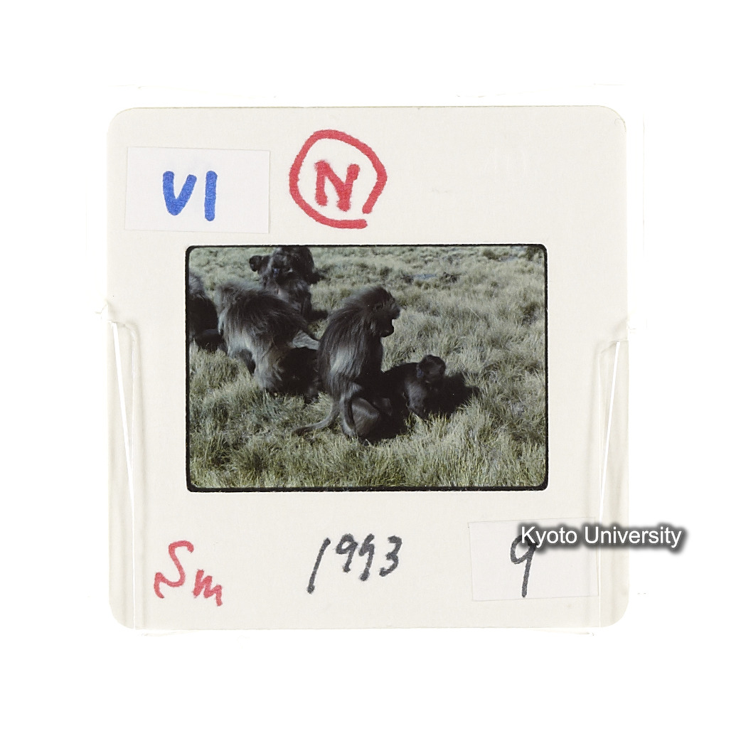 Sm　1973　9　（N）[赤色, 丸囲み] (2)