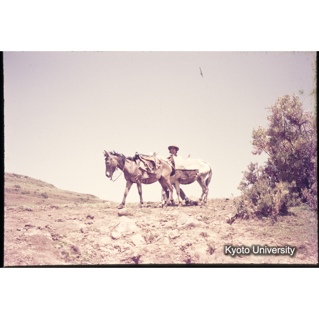 Sm　1973　1128 (1)