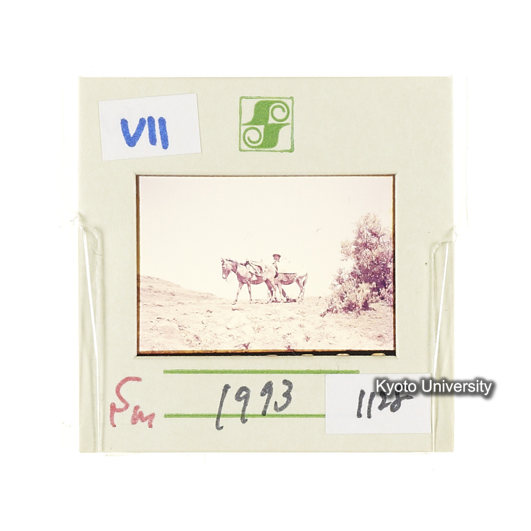 Sm　1973　1128 (2)