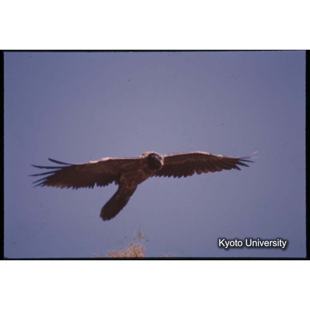 Sm　1973　1001 (1)