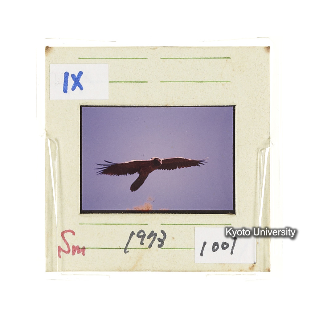 Sm　1973　1001 (2)