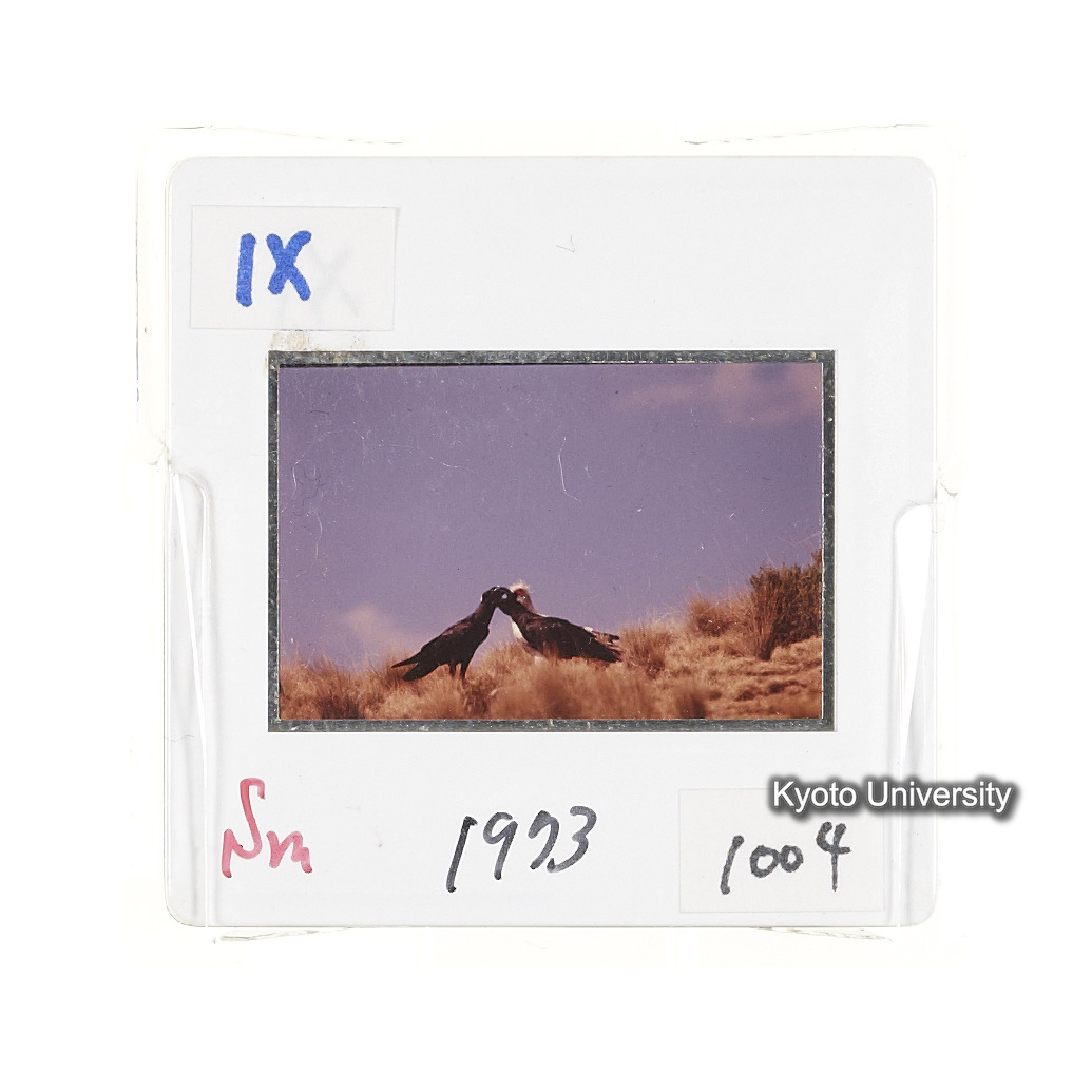 Sm　1973　1004 (2)