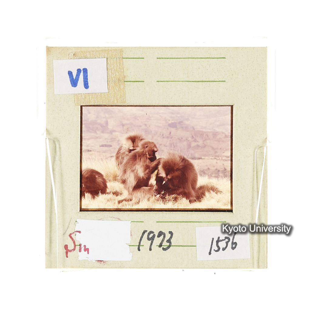 Sm　1973　1536 (2)