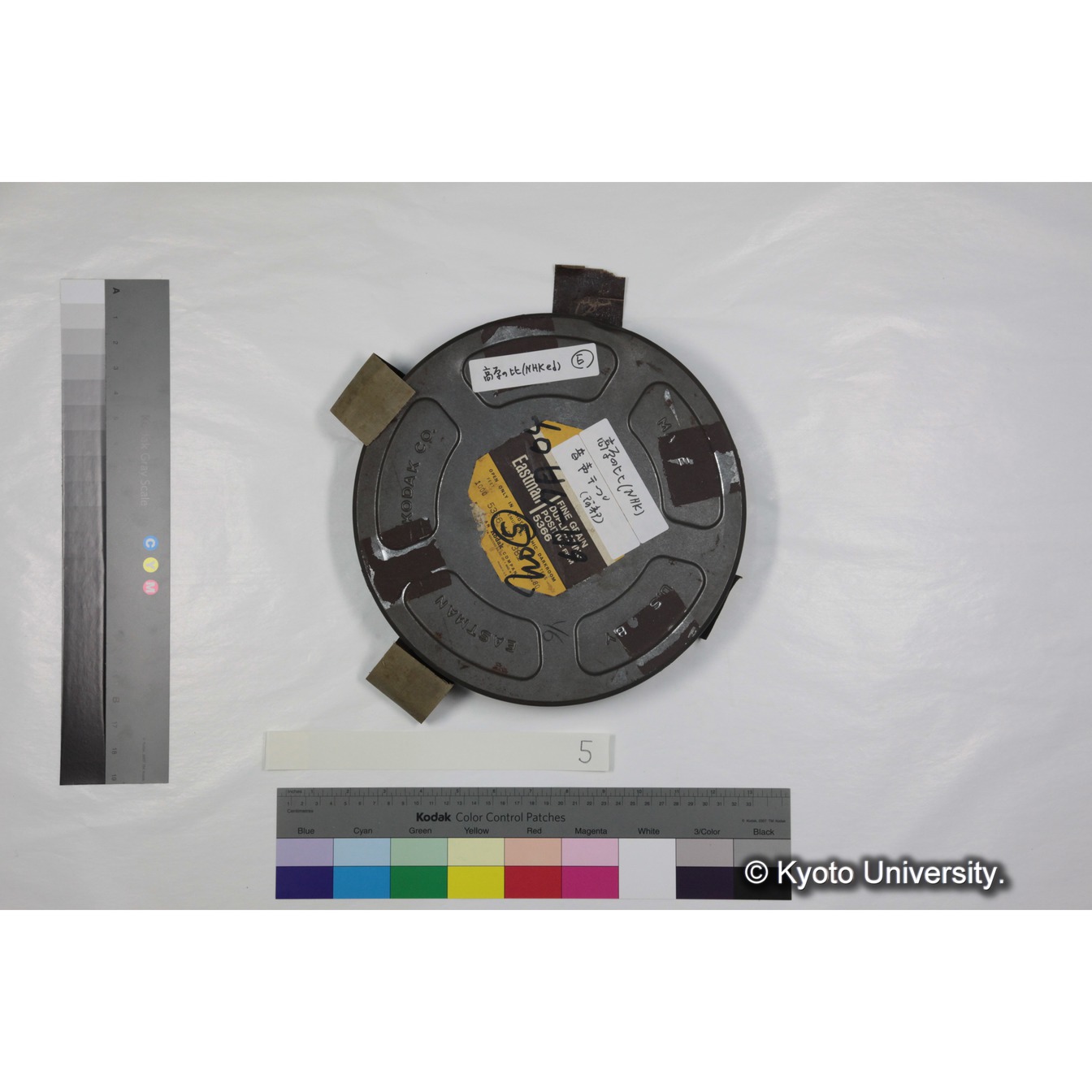 [ケース]5 「ゲラダヒヒの社会」 (1)