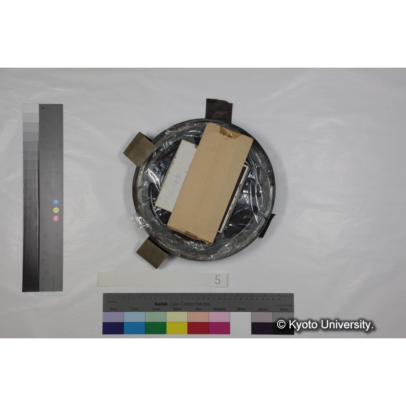 [ケース]5 「ゲラダヒヒの社会」 (2)