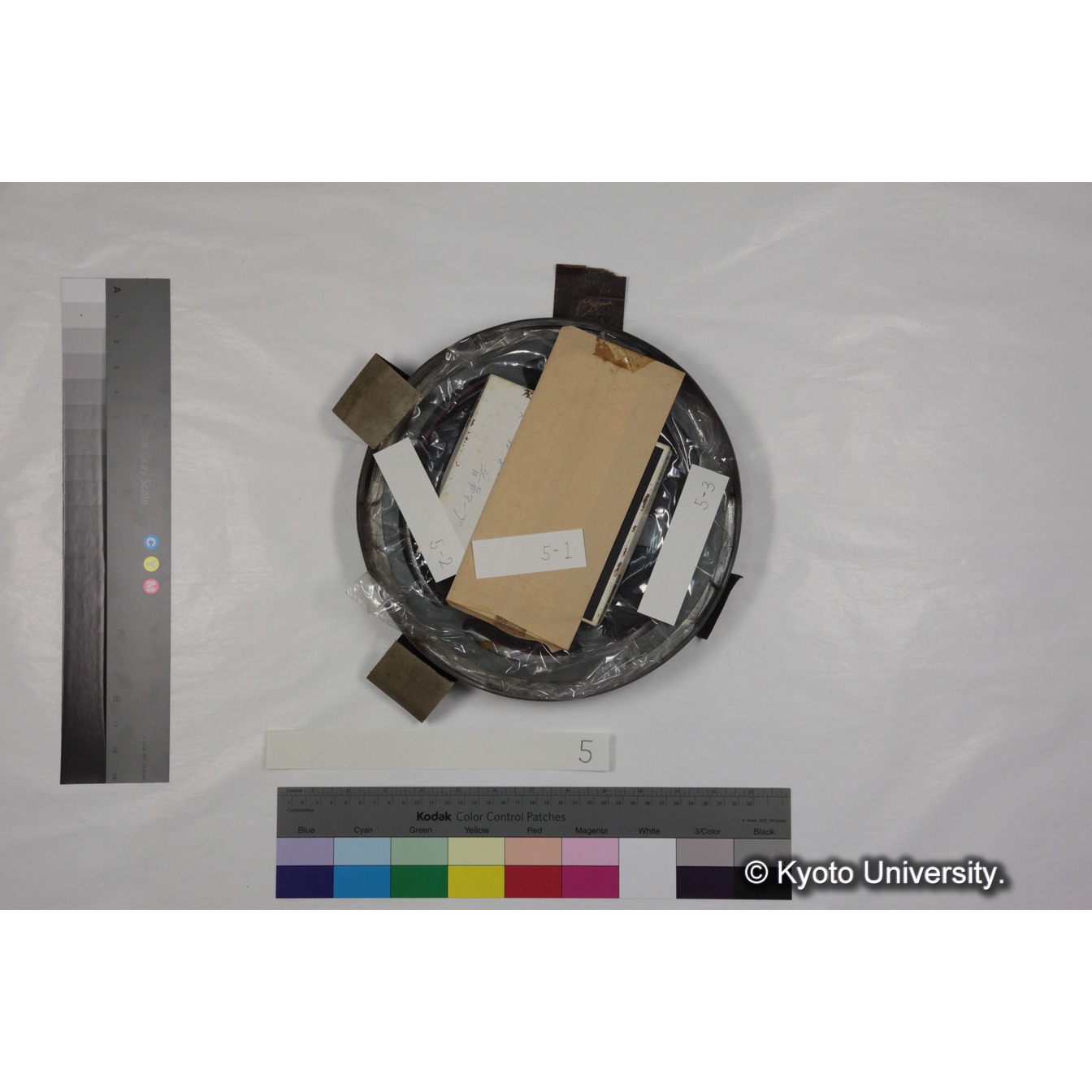 [ケース]5 「ゲラダヒヒの社会」 (3)