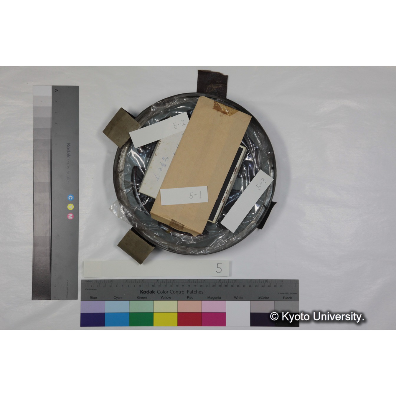 [ケース]5 「ゲラダヒヒの社会」 (6)