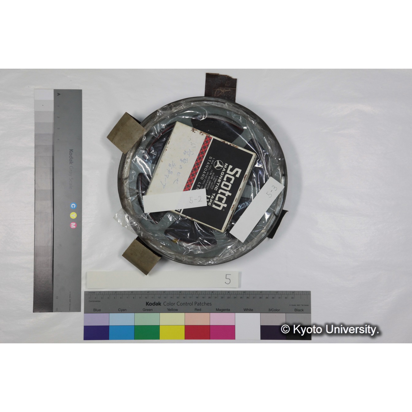 [ケース]5 「ゲラダヒヒの社会」 (7)