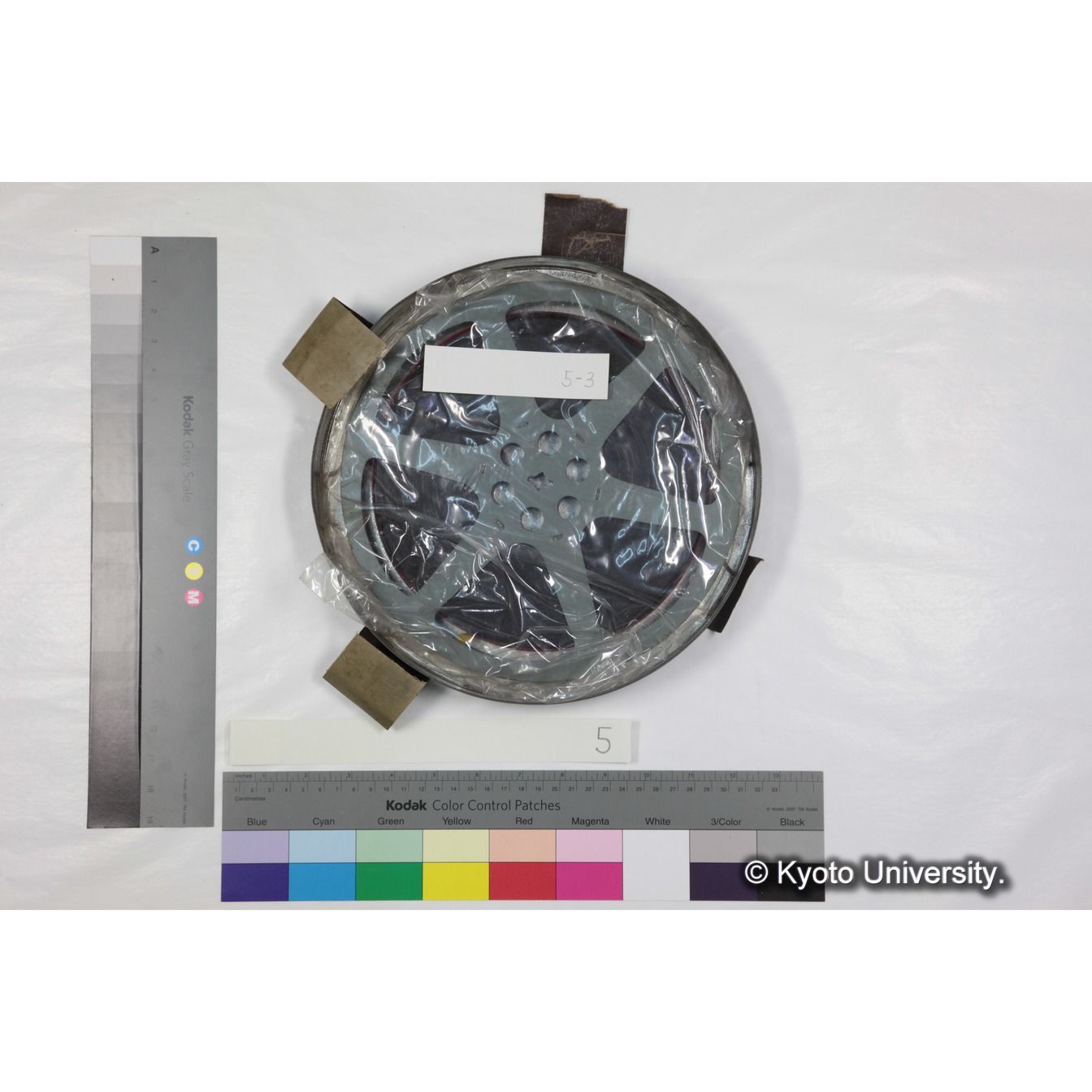 [ケース]5 「ゲラダヒヒの社会」 (8)