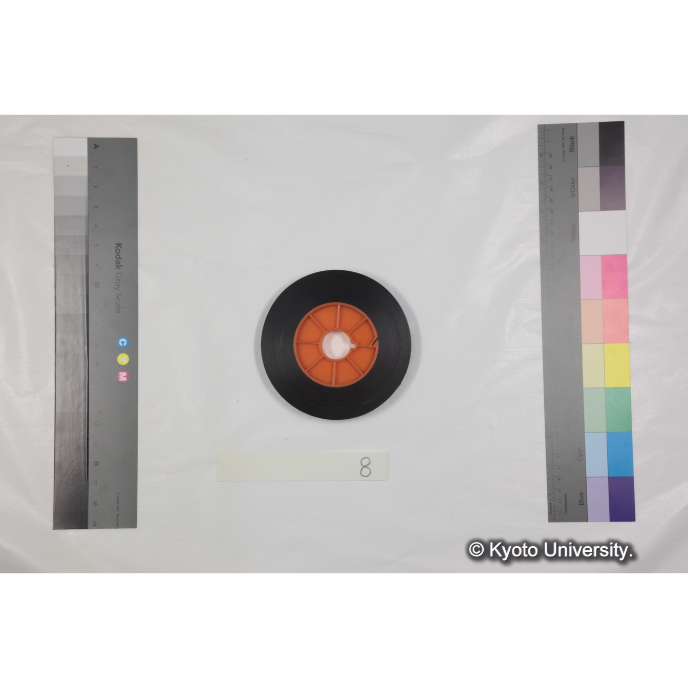 [ケース]8 「霊長類研究所の所長による説明（所長：河合雅雄）」 (7)