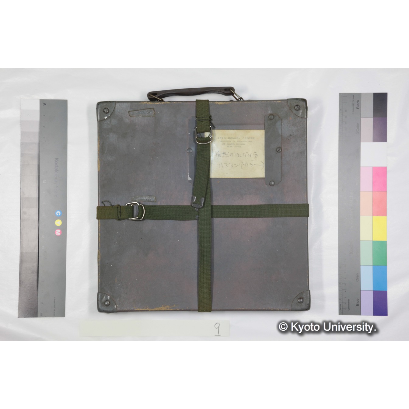 [ケース]9 「ハヌマンラングール調査 (吉場健二)１」 (3)