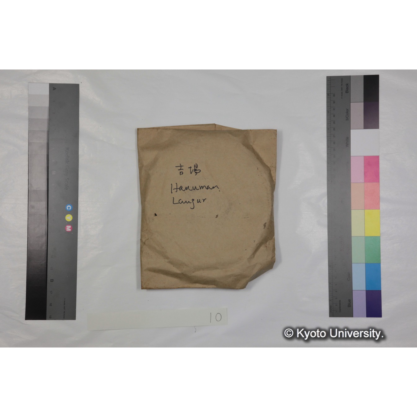 [ケース]10 「ハヌマンラングール調査 (吉場健二)２」 (3)