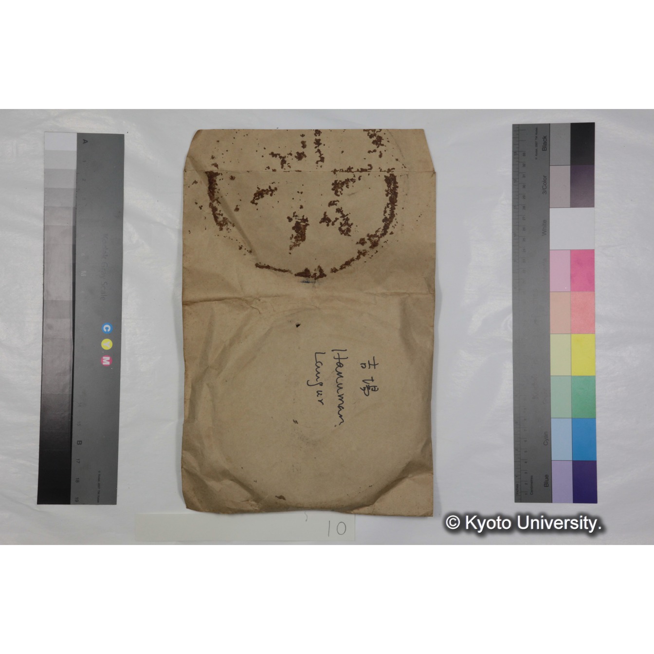 [ケース]10 「ハヌマンラングール調査 (吉場健二)２」 (4)