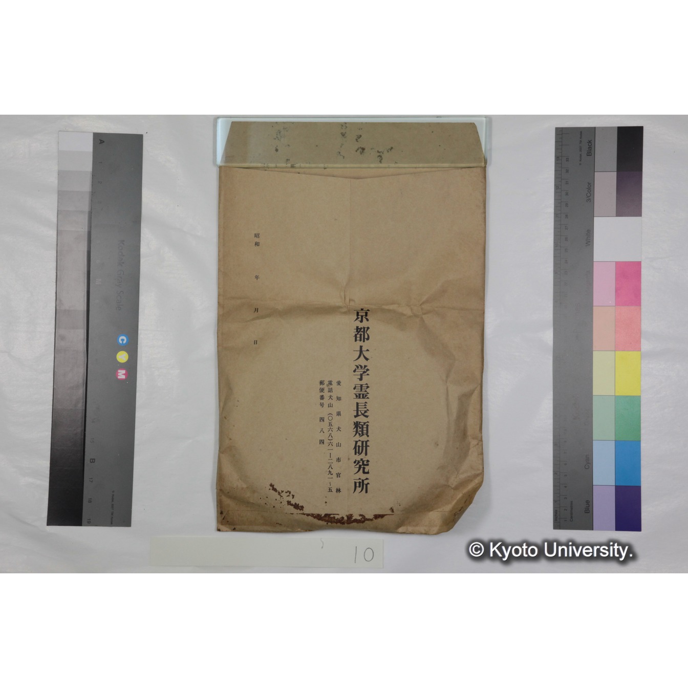 [ケース]10 「ハヌマンラングール調査 (吉場健二)２」 (5)