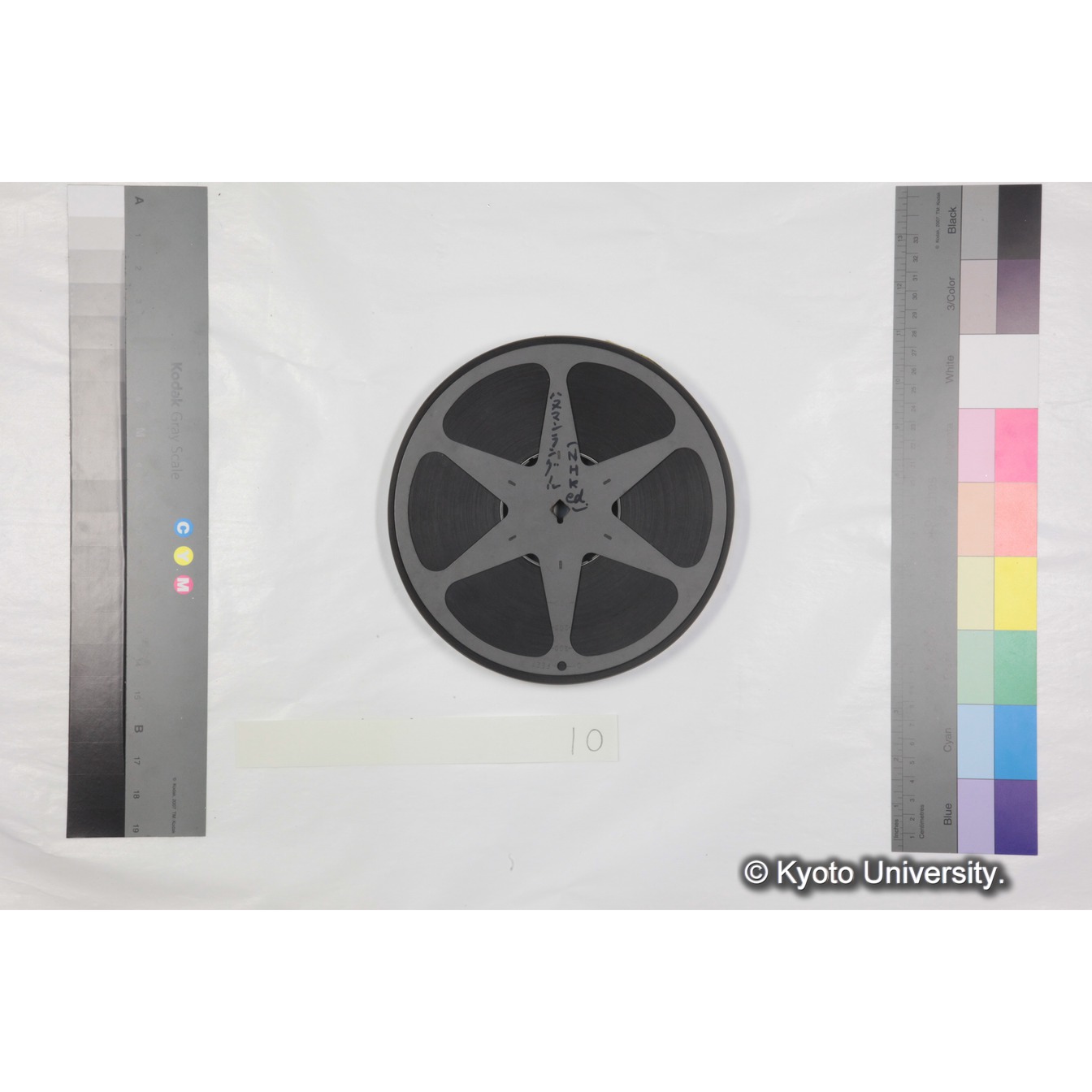 [ケース]10 「ハヌマンラングール調査 (吉場健二)２」 (6)