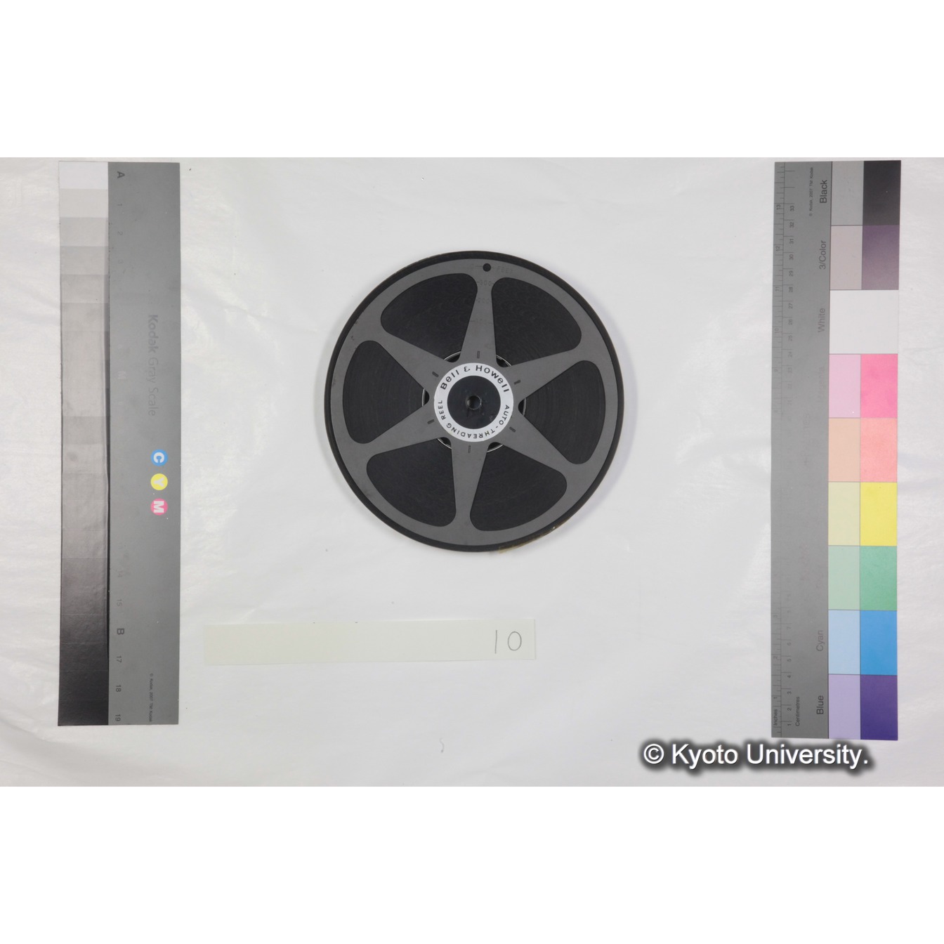 [ケース]10 「ハヌマンラングール調査 (吉場健二)２」 (7)