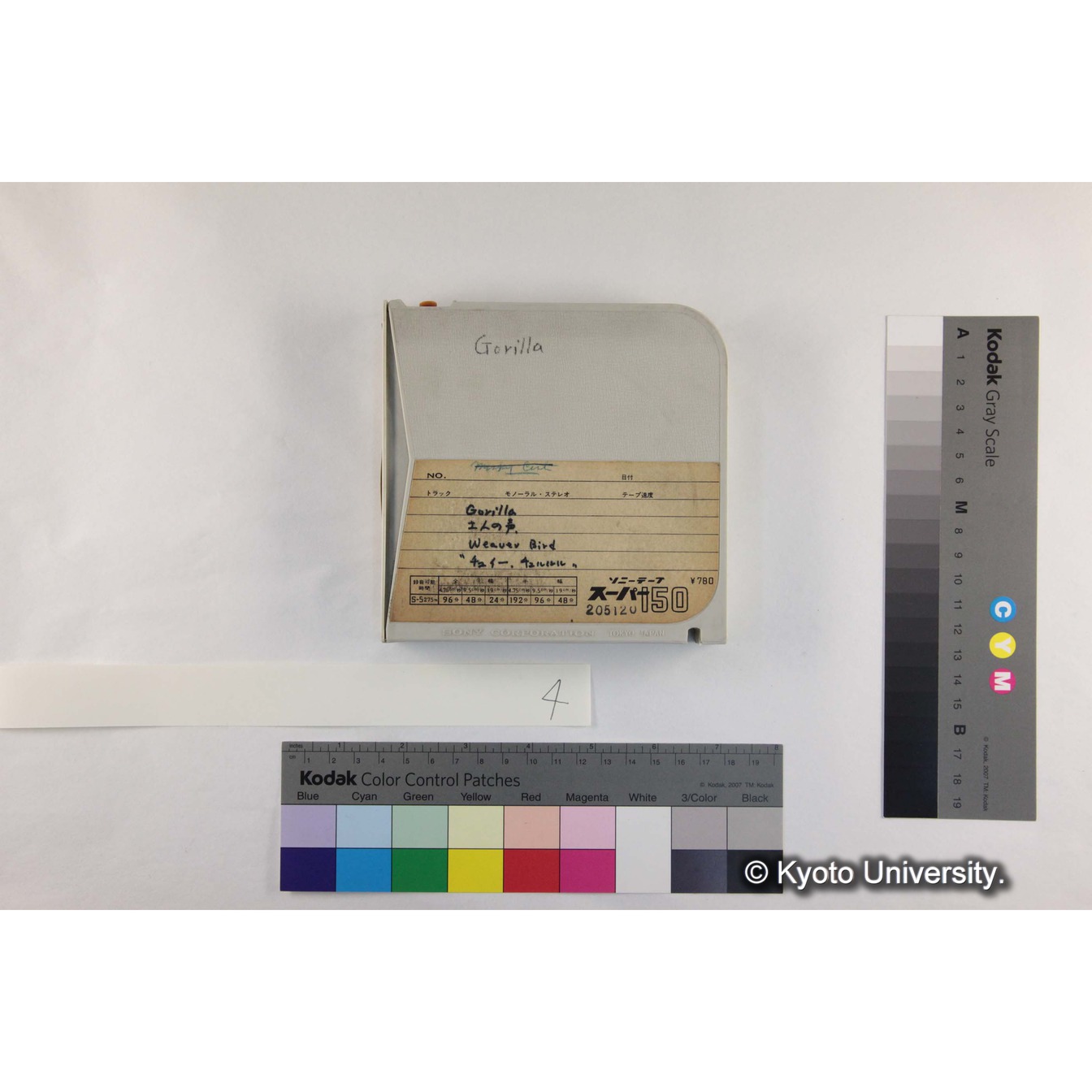 [ケース]4「Gorilla追跡音，Weaver Bird」 (4)