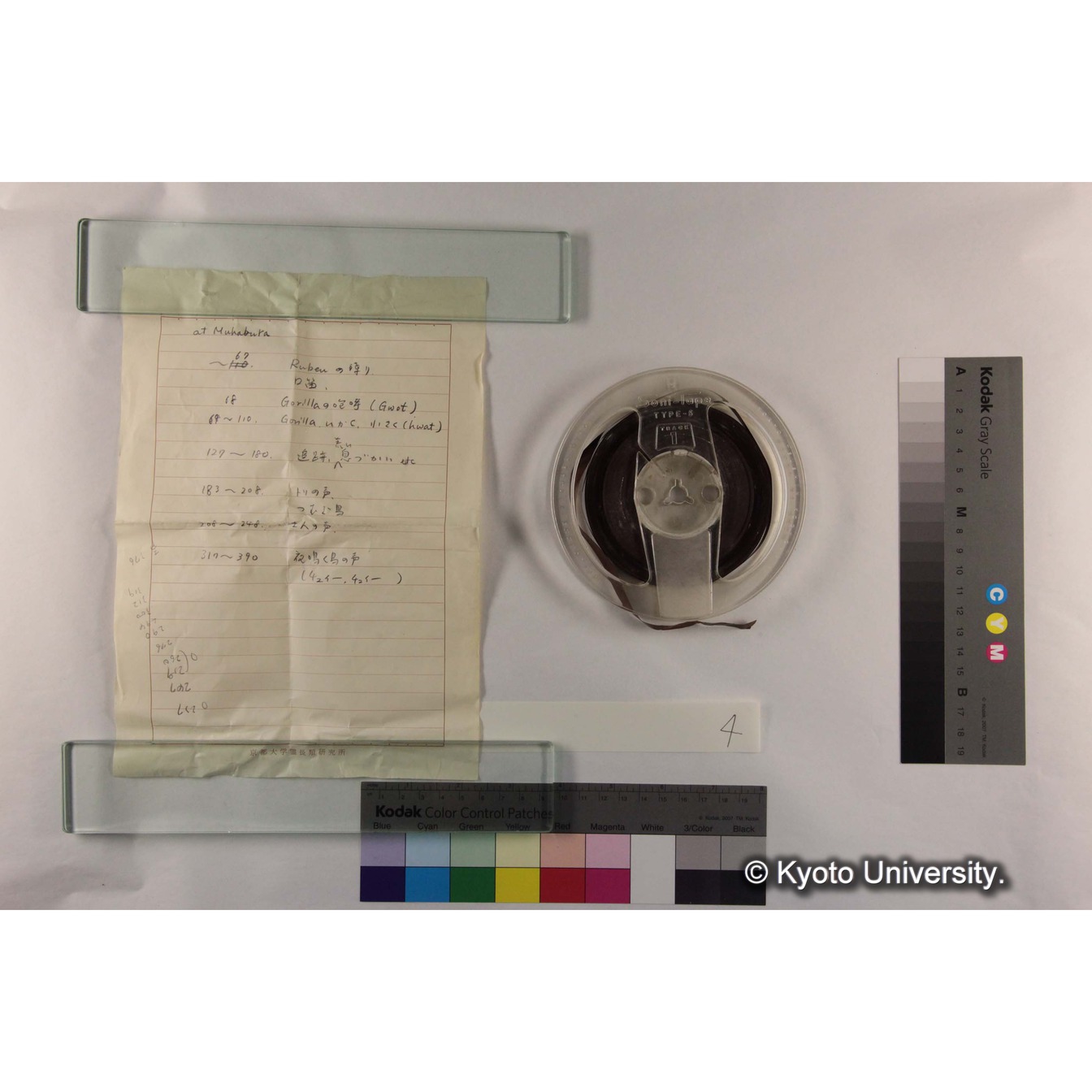 [ケース]4「Gorilla追跡音，Weaver Bird」 (5)