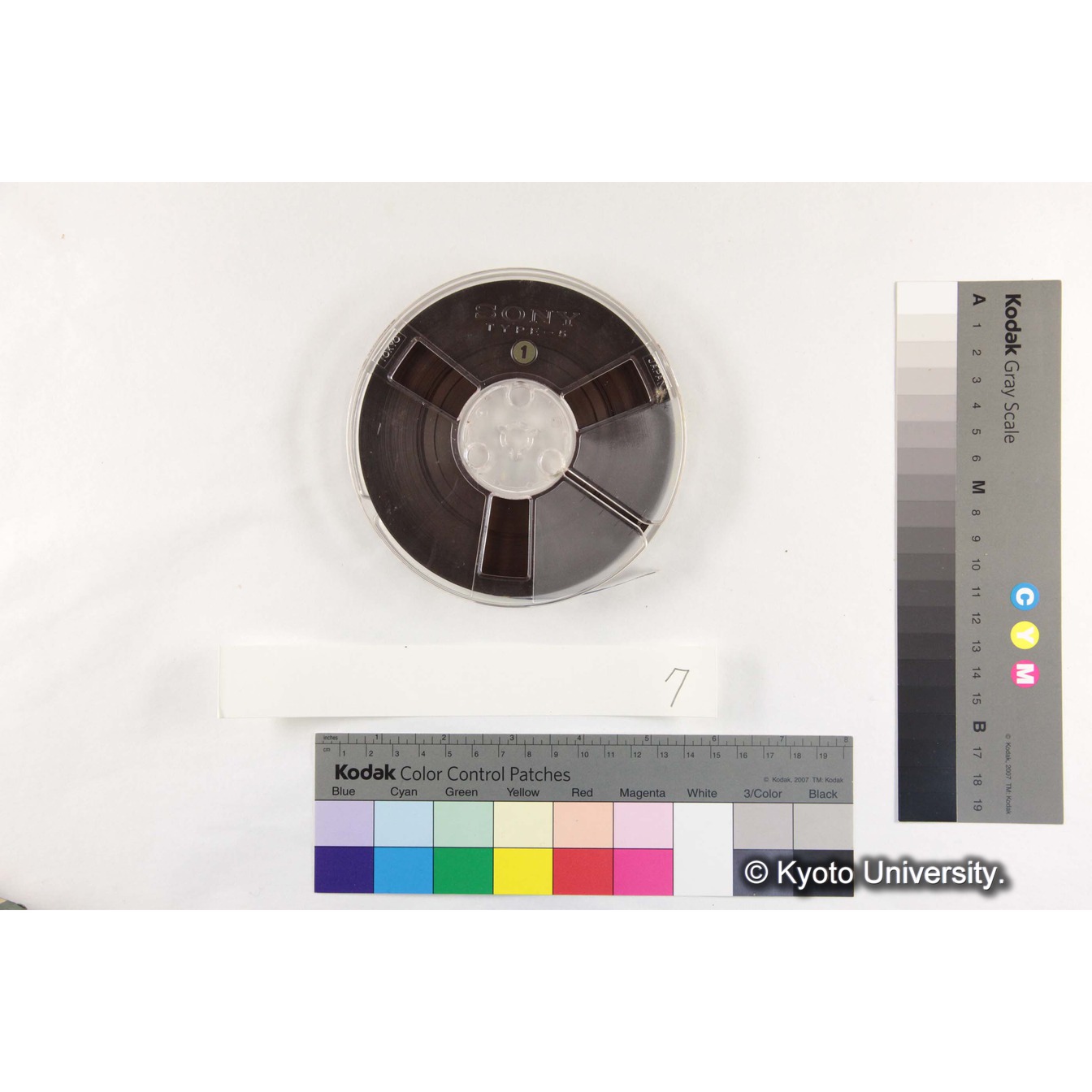 [ケース]7「ゴリラ，バブーン，マンヘイ」 (5)